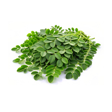 Moringa