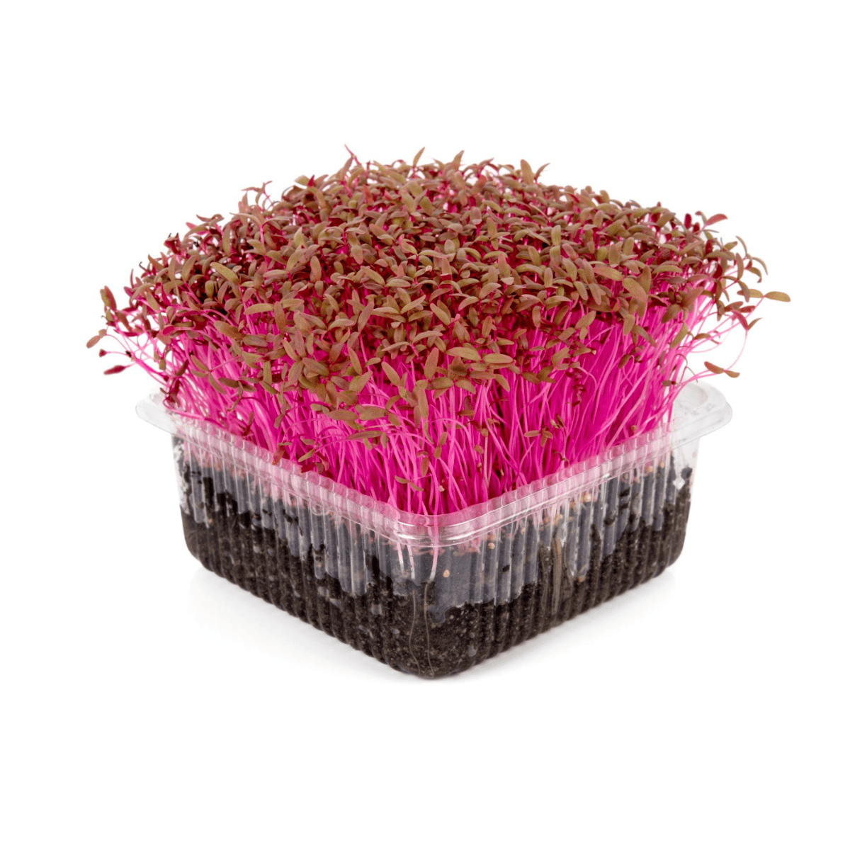 Amaranth